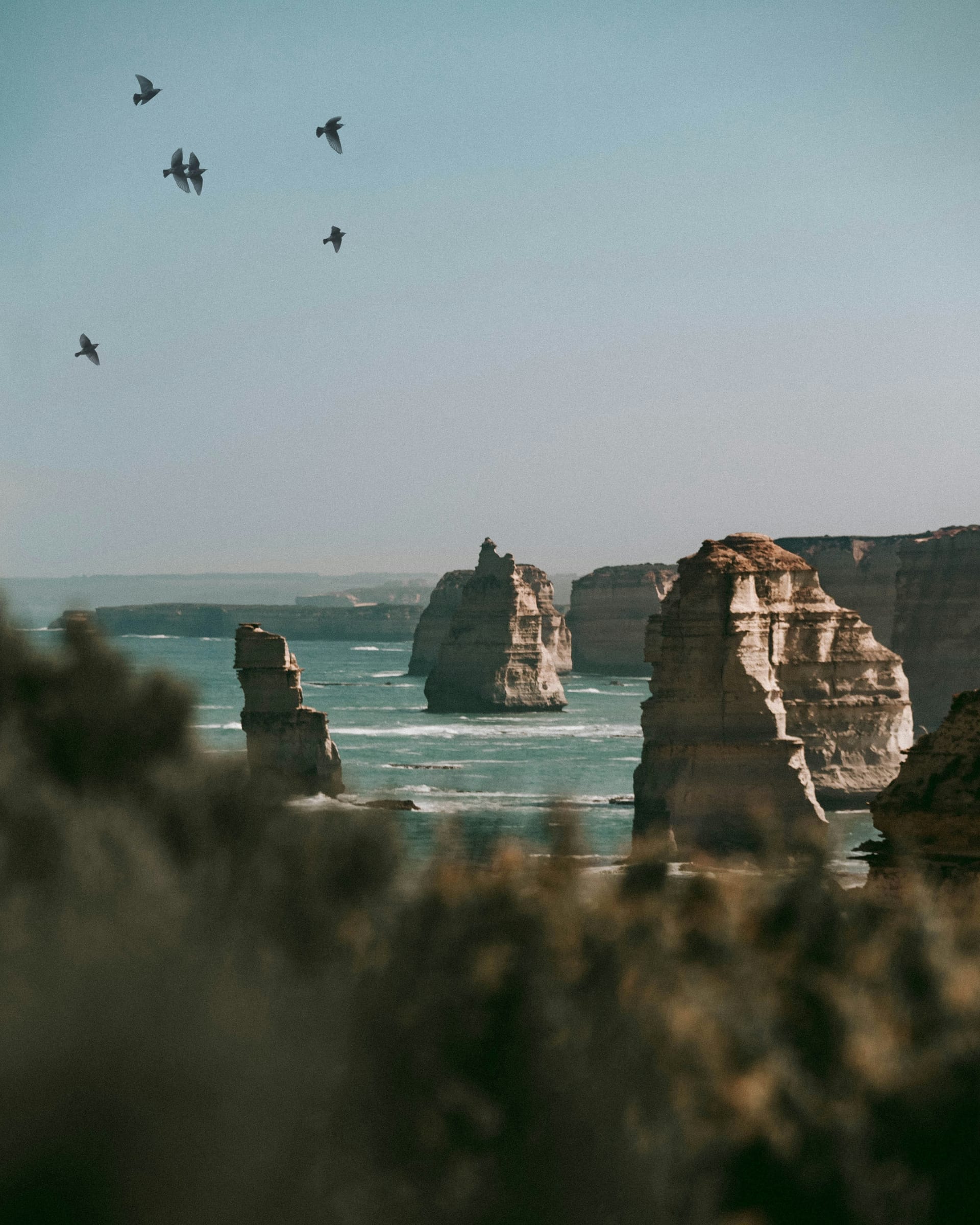 The Twelve Apostles limestone stack formations rising out of the ocean along the Great Ocean Road.