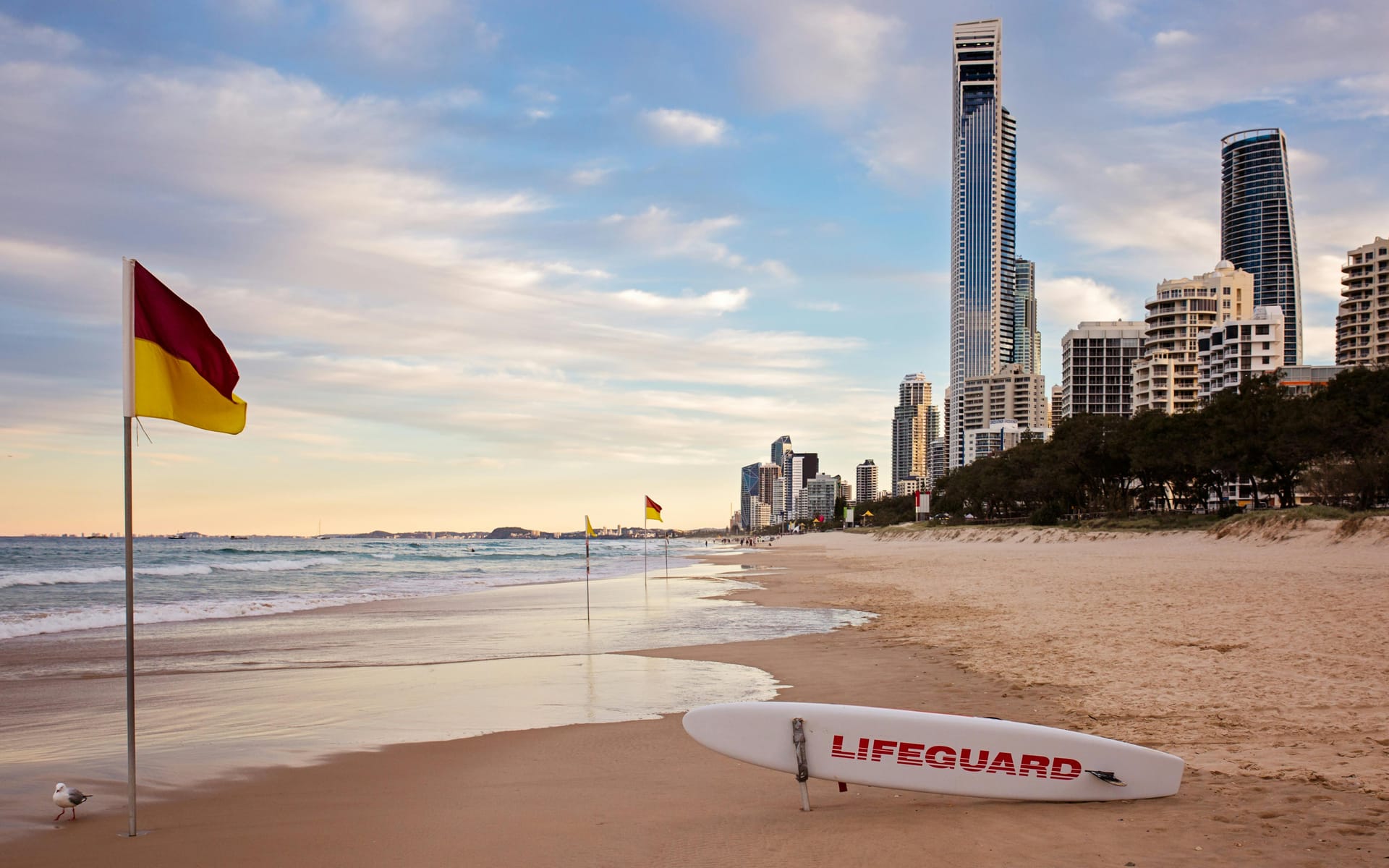 A view of the beach at sunset with a red and yellow surf lifesaving flag and a white "LIFEGUARD" surfboard in the foreground, with high-rise buildings in the background.