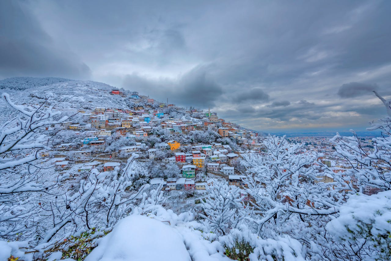 A hillside neighborhood covered in fresh snow, with colorful houses peeking through the white landscape and trees.